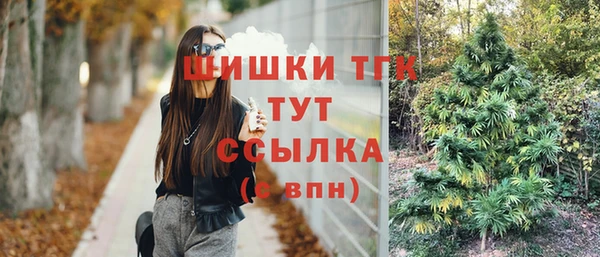 амф Абдулино