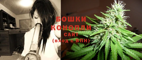PSILOCYBIN Алексин