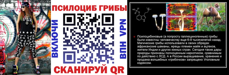 где найти наркотики Щёлково Псилоцибиновые грибы Cubensis